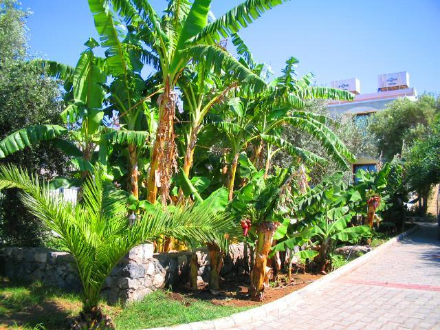 Bare Hill Holiday Village Elea Bagian luar foto